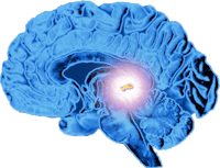 a blue brain with a bright light in the center